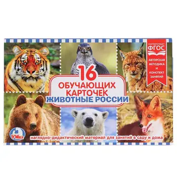 

Developing cards in the folder "Animals of Russia" (16 cards) Umka 4690590144848