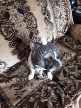 Pet-Hats Dog-Cap Dog-Accessories French Bulldog Small-Dogs Christmas Ball-Headwear Winter