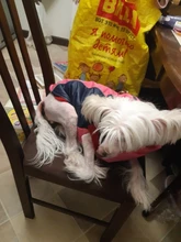 Coat Pet-Dog-Jacket Dogs French Bulldog Waterproof Chihuahua Winter Puppy-Vest Small