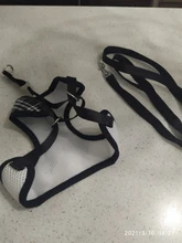 Elegante pajarita arnés tipo chaleco para perro con correa ajustable, Gato conjunto de Correa y arnés lindo arco nudo esmoquin para gatos gatito cachorro