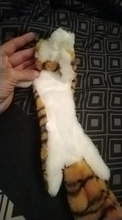 Peluche suave de cebra con sonido de tigre para mascotas, juguete para mascotas