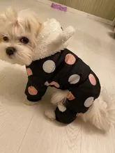 Dog Overalls Clothing Puppy Winter Coat Hoodie Pet-Dog Cotton Thicken Dot for Small Big-Polka-Dot