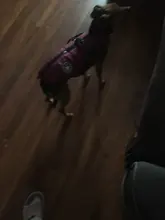 Pet-Dog-Jacket Harness Bulldog-Outfits Labrador Warm French Chihuahua Waterproof Large