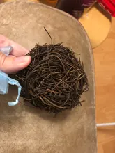 Nest Bird-Cage Prop-Bird Photography-Props Vintage-Decoration Optical-Store Creative