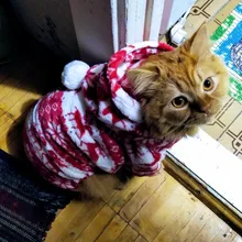 Fleece Dog Jumpsuits Winter Pet Dog Clothes For Dog Christmas Clothing Soft Cat Pet Cosplay