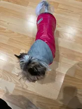 Coat Pet-Dog-Jacket Winter Puppy Hood-Size Warm with 8-18 5-Colors Thickening