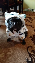 Clothing Bulldog-Clothes Corgi Raincoat Poodle Pug Bichon French Waterproof for Schnauzer