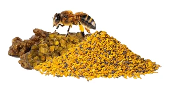 

Propolis extract liquid 20 ml alcohol free