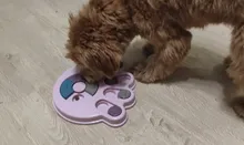 Feeder Toys Dispensing Puppy Pet-Puzzle Pet-Dog Training-Games Slow Interactive Small