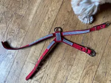 Leash Pet-Necklace Pet-Products Dog-Harness Rhinestone Bling Quick-Release Adjustable