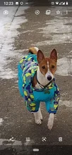 Winter Pet Dog Coat Jacket Thicken Warm Clothes For Dogs Waterproof Reflective Puppy
