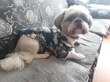 Camisetas de verano para perros, ropa de playa, chaleco para mascotas, camiseta Floral, Hawaiana para gatos pequeños y grandes, Chihuahua