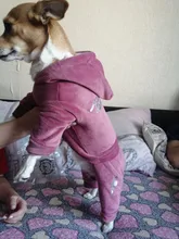 Coat Jumpsuit Clothing Puppy-Fleece Hoodie Apparel Pet-Dog Winter New Warm Velvet