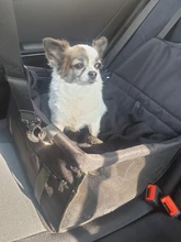 Bolsa de asiento de coche para perros, cesta impermeable de seguridad para viaje, bolsas colgantes de malla, bolsa de asiento para perro, cesta para gato