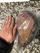 10 Uds Natural de alta calidad Terminalia Catappa hojas indio de Lour árbol hoja de oliva para agua de acuario equilibrio PH acidez