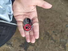 Tag Pendant Pet-Accessories Dog-Tags Puppy Name-Collar Engraved Personalized Cat Pet-Id