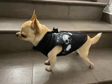 Ropa de invierno para mascotas, atuendo con chaleco cálido para perros pequeños, abrigo para perro, Chihuahua acolchado, a prueba de viento, 20