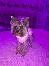 Puppy Outfit Vest Coat Dog-Jacket Pets Padded-Chihuahua Apparel-20 Small-Dogs Warm Winter