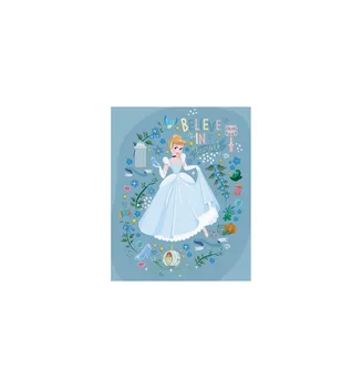 

CANVAS 20X25 CM DISNEY Cinderella