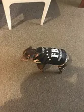 Hoodies Jacket Puppy French-Bulldog Small Dogs Waterproof Dog Chihuahua Winter Autumn