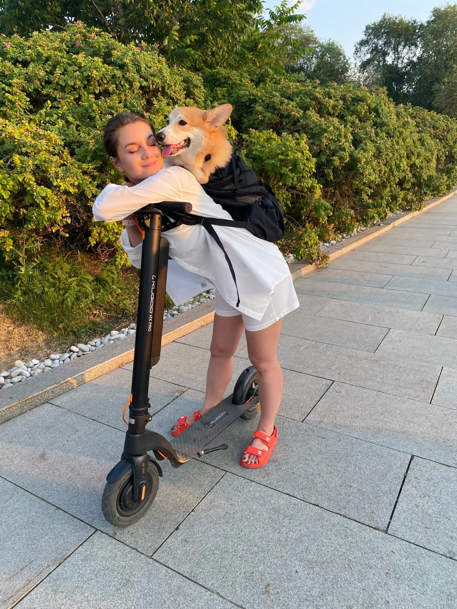 DogMEGA Dog Carrier Backpack 60 lbs Large Dog Carrier Backpack Dog