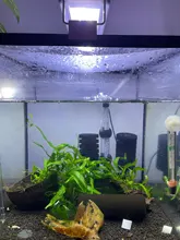 Luces LED para cultivo de plantas, luces para peceras, luces pequeñas con Clip, accesorios de irradiación para acuario, lámpara de decoración