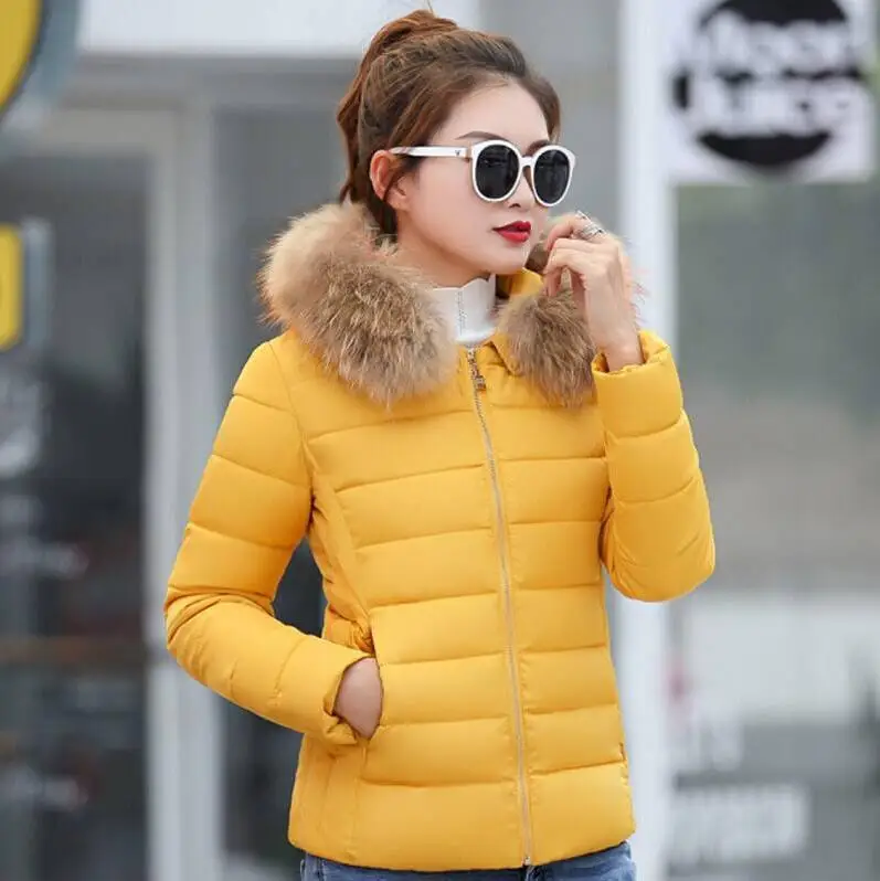 Chaud hiver veste chaud bien coton veste cheveux A capuche vestes femmes manteaux Slim fermeture