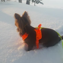 Adjustable Harness Dog-Accessories No-Pull-Vest Truelove Large Padded Pet-Dog Outdoor-Sport