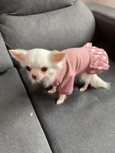 Dog-Dress Dogs-Skirt Yorkshires Chihuahau Winter Dot for Autumn