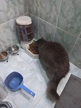 Alimentadores automáticos de Gato de 3.8L, fuente de agua para gato, alimentación con biberón, cuencos, dispensador de agua para gatos