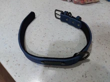 Collar Pet-Products Puppy Engraved French Bulldog Small Dogs Custom Personalized Pug