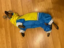 Jumpsuit Raincoat Pet-Cloak Teddy Waterproof-Jacket HOOPET Dogs Chihuahua for Small Cat