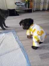 Dogs-Pajamas Clothing Shirt Puppy-Jumpsuit Pomeranian Chihuahua Dog-Coat Pet-Dogs Small
