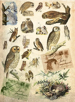 

Rice paper for Decoupage "" craft Premier "", 28,2x38,4 cm, 25 g/m, "Owls" "cp01858