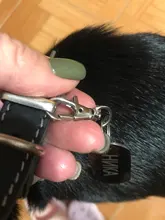 Dog-Id-Tag Address Pet-Name Free-Engraved Military Stainless-Steel Custom Personalized