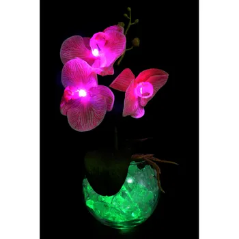 

Night light pink Orchid (green) 3 flower