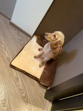 Cushion-Mat Sofa Lounge Pet-Beds Dogs L-Shaped Large Luxury Chaise Cat for Big