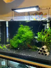 Chihiros A II Series Aquarium Freshwater Planted Tank LED Light A II 301- A II 1201