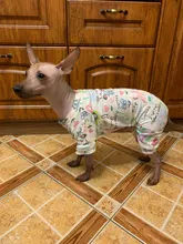 Dogs-Pajamas Clothing Shirt Puppy-Jumpsuit Pomeranian Chihuahua Dog-Coat Pet-Dogs Small
