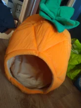 Cat Nest Kennel Dog-House Banana Pineapple Strawberry Foldable Pet-Products Watermelon