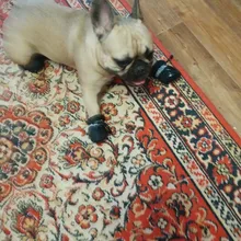 4 unidades/juego de zapatos de lluvia antideslizantes de Cachemira suave y cálida para mascotas, calzado suave a prueba de viento para perros y mascotas, zapatos impermeables antideslizantes