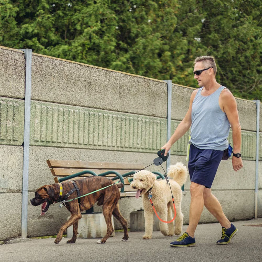 713yFR4OVcL._AC_SL1001_