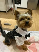 Shirt Tuxedo Pet-Outfit Christmas-Costume Wedding-Suit Cats Gentleman Halloween Small Dogs