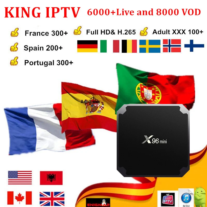 

French IPTV Subscription for france UK German Arabic Dutch Sweden French Poland Portugal Smart TV Android box IPTV M3U X96 Mini