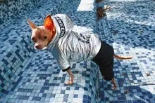 Jumpsuit Pet-Costumes Cotton-Padded Silver-Color Dogs Waterproof Winter Fashion for Hoodie