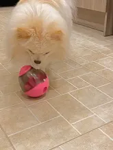 Pets-Chew-Toys Interactive-Supplies Food-Ball Molar-Teeth-Cleaner Dog-Leaking Tumbler