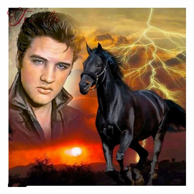 Алмазная живопись Touoilp алмазная вышивка Elvis квадратная/круглая стразы крестиком