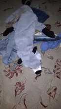 Peluche suave de cebra con sonido de tigre para mascotas, juguete para mascotas