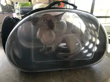 Pet Carrier Dogs Cat Folding Cage Collapsible Crate Handbag Plastic Carrying Bags Pets