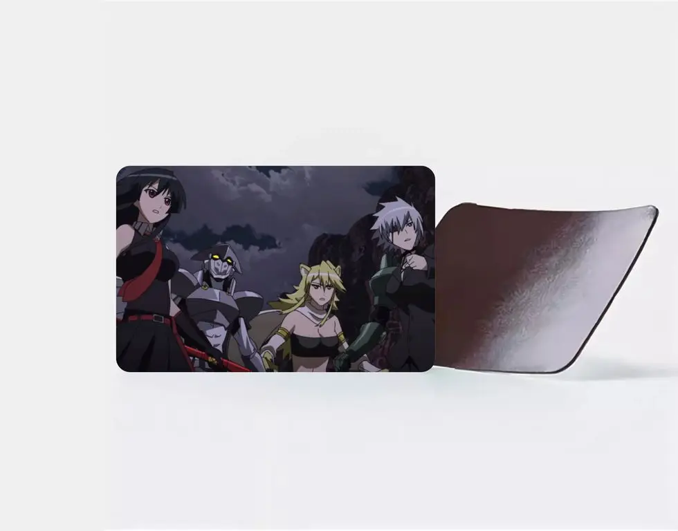 Магнит виниловый Убийца Акамэ Akame ga Kill №18 | Дом и сад